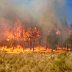Suben de 13 a 40 los incendios en Santa Cruz y los chaqueos aumentan de noche