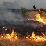 Gobernación de Santa Cruz declara emergencia departamental por incendios forestales