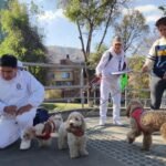 Ministerio de Salud anuncia campaña nacional de vacunación contra la rabia en perros y gatos 