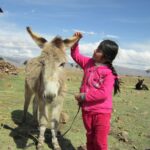 Día del niño: qué dice la ley sobre sus derechos