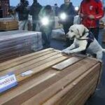 Gobierno anuncia investigación conjunta con Chile por 108 toneladas de droga impregnada en madera