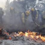 Incendio en Puerto Suárez está controlado, sin embargo afectó 20.000 hectáreas