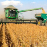 Santa Cruz celebra 216 años como el motor agroindustrial del país